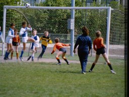 0DIA 1984 RAVA PUPS 1